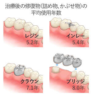修復物の平均使用年数
　陽歯科クリニック